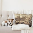 thumbnail image 4 of Ambesonne Lake Throw Pillow Cover 2 Pack, Snowy Mountains Sepia Effect, 16", Grey Yellow Warm Taupe, 4 of 7