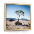 Designart "Bliss of African Safari Tree III" Landscapes Framed Wall Art