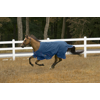 Tuffrider 1200 D Comfy Winter Blanket Medium Weight 200 gms Standard Neck - Royal - 75