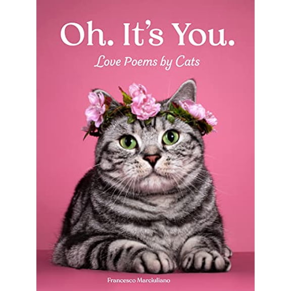 Pre-Owned Oh. It's You.: Love Poems by Cats (Hardcover) 1797220039 9781797220031