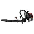thumbnail image 2 of Troy-Bilt TB4BP Souffleur de Feuilles à Essence 32cc 4 Temps avec Ressort, 2 of 4