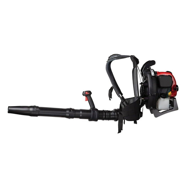 Best 4 2024 cycle leaf blower