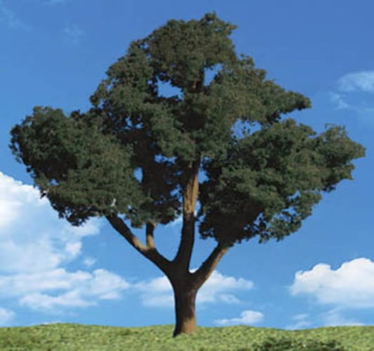 TR3547 Cool Shade Trees 3/4'- 1 1/4' (8)