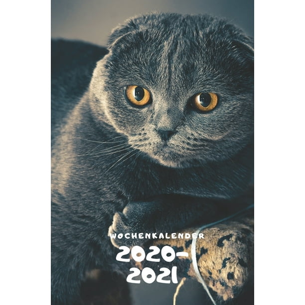 Wochenkalender 2020/2021 : A5 Kalender mit Praktischer Wochenï¿½bersicht fï¿½r die Organisation ...