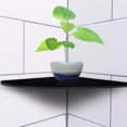 thumbnail image 4 of OTVIAP 2 Pcs Acrylic Radial Corner Shelf Wall Mounted Floating Shelves Home Decor, Wall Shelf,Radial Corner Shelf, 4 of 6