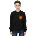 thumbnail image 2 of Harry Potter Boys Gryffindor Lion Faux Pocket Sweatshirt, 2 of 3