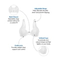thumbnail image 6 of Bestform Everyday Unlined Cotton Stretch T-Shirt Bra with Underwire Support, 2 Pack 5000100P, 6 of 7