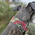thumbnail image 2 of Collar de perro Martingale para galgos Saluki Whippet y otras razas con cuello similar de 2 pulgadas de ancho (L 14 pulgadas a 18 pulgadas), 2 of 5
