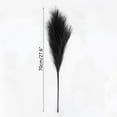 thumbnail image 7 of 5PCS Faux Pampas Grass Large 27""""/70CM Tall Artificial Pompous Grass Branches Stems Plants Floor Vase Filler for Decor Flower Arrangement , black, 7 of 7