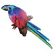 thumbnail image 3 of Hanging Toucan Decoration Hanging Bird Adorn Lifelike Toucan Art Craft for Garden, 3 of 4