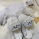 thumbnail image 4 of Zapatillas de algodón dibujos animados parejas de gatos zapatos de peluche de un tamaño XGeek ALL, 4 of 5