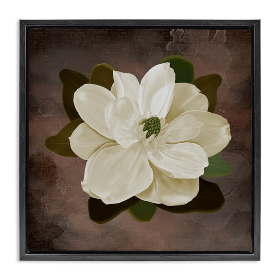 Stupell Industries Magnolia on Brown Black Framed Floater Canvas Wall Art design by Jennifer Stith, 18 x 18