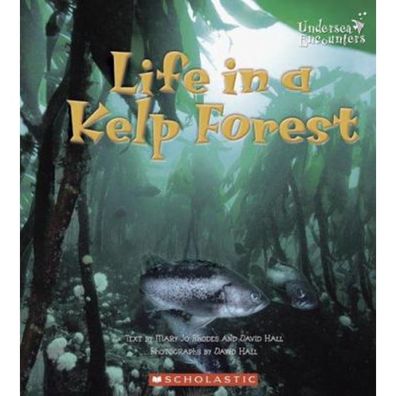 Pre-Owned Undersea Encounters (Paperback): Life in a Kelp Forest (Paperback)