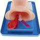 thumbnail image 4 of Modelo de Bebés de Recién Nacida Estructura de Anatomía Neonatal para Práctica de Cánula de Tubo de Aire, 4 of 9
