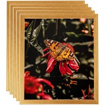 ArtToFrames 18" x 22" Bright Gold Picture Frame, 18x22 inch Gold Wood Poster Frame (WOM-4753), 5 Pack