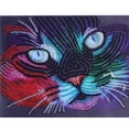 thumbnail image 1 of 5D bricolaje forma especial diamante pintura color gato punto de cruz bordado Tmvgtek decoración de arte en el hogar, 1 of 9