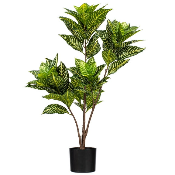 36" Alocasia Zebrina Potted Plant