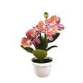 thumbnail image 5 of Lohuatrd Fake Potted Plant Realistic Simulation Flower Vivid Colored Fake Butterfly Orchid Bonsai for Home Decoration, 5 of 8