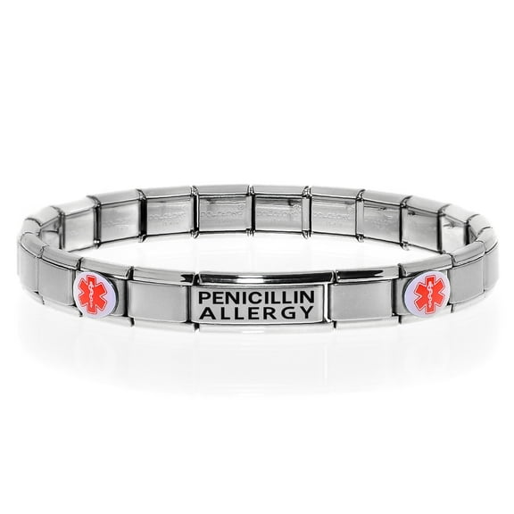PENICILLIN ALLERGY Medical Alert ID Bracelet, Modular Charm Style - SIZE OPTION B