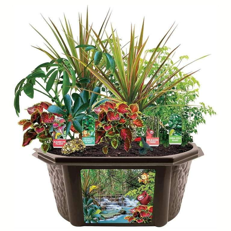 Toys By Nature: Tropical Rainforest Jungle - DIY Biosphere