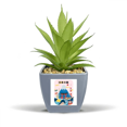 thumbnail image 1 of Local Japanese Travel Sightseeing Fake Pineapple Flower Pot Vase Mini Decor, 1 of 3