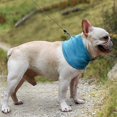 thumbnail image 1 of Collar de perro Yinane Collar del verano S M L, 1 of 8