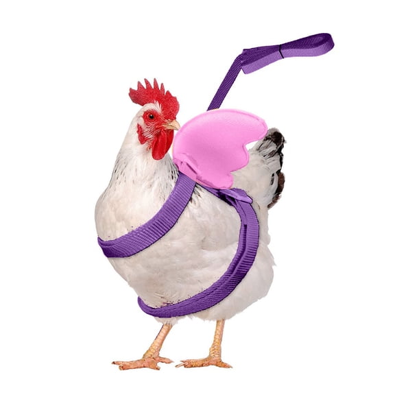 Poultry Outdoor Walking Safety Harness Adjustable Duck Chicken Outdoor Activity Strap Comfortable Wearable Farm Poultry Going Out Control Belt Backyard Livestock Daily Outside Movement Accessory