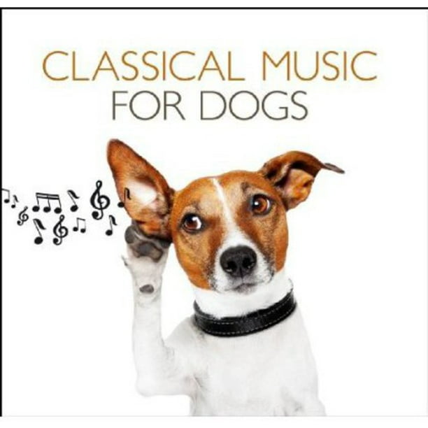 Classical Music for Dogs / Various (CD)