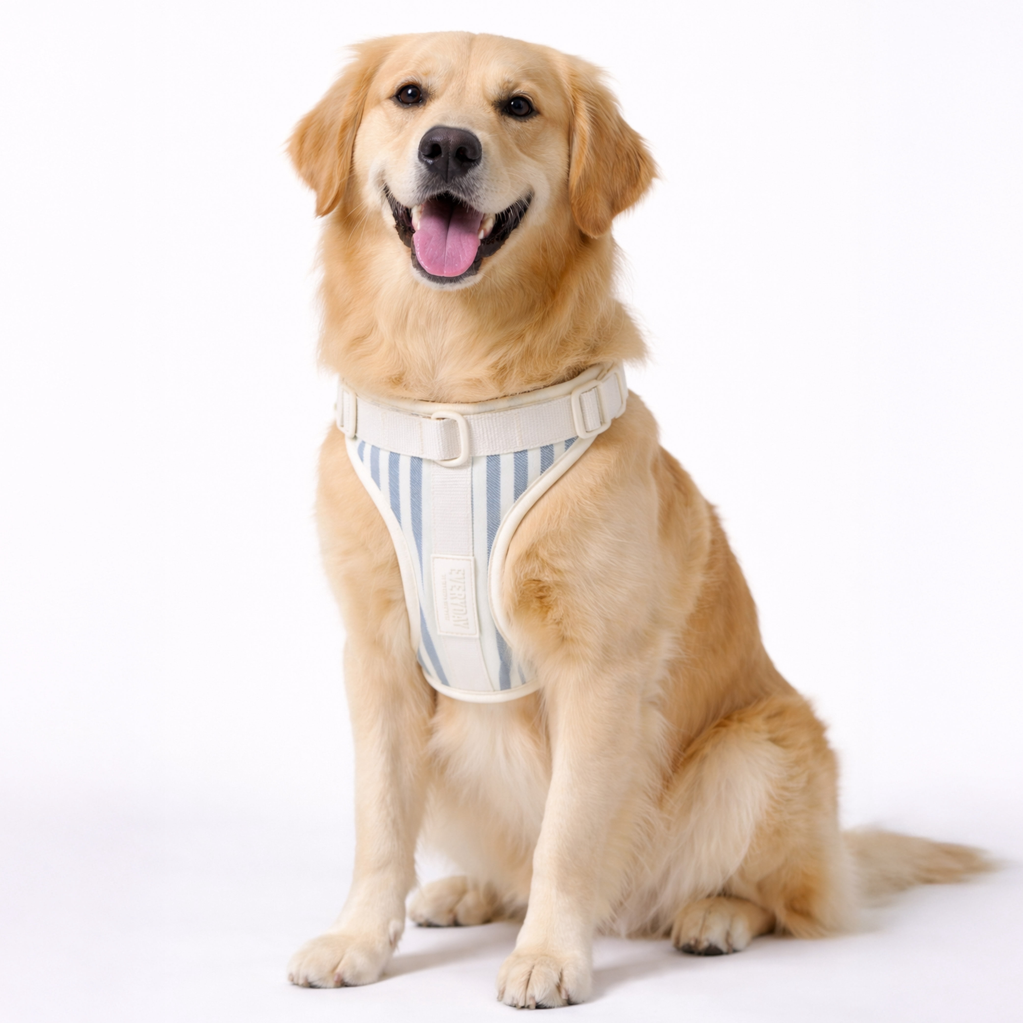 Martha Stewart Stripe Neoprene Padded Harness for Dogs
