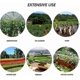 thumbnail image 4 of 50 Pcs Yellow Sticky Fly S Plug-in Fly Sticker Fly Plant, 4 of 5