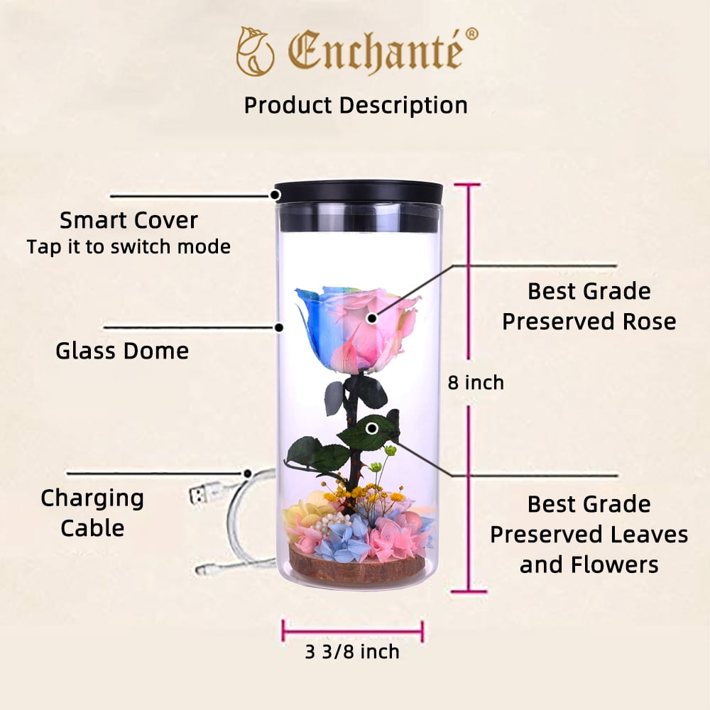 8.5" Enchante Forever Rose Touch Night Light Preserved Flower LED Lamp, Red