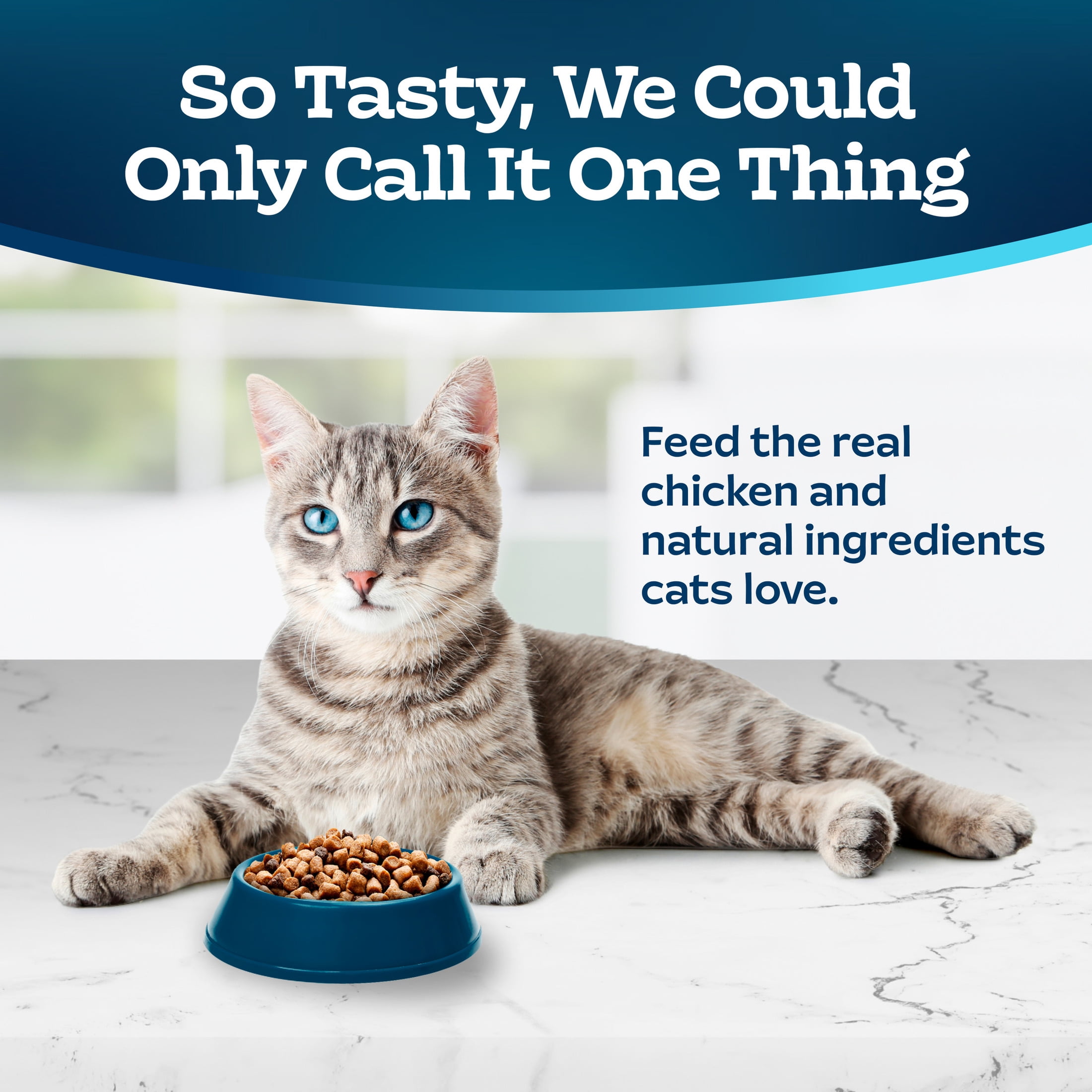 Blue Buffalo Tastefuls Dry Cat Food, Active Adult Cat, Chicken and Brown Rice, 10-lb. Bag