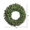 thumbnail image 2 of Vickerman 42" Douglas Fir Artificial Christmas Wreath, Clear Dura-lit Incandescent Mini Lights, 2 of 4