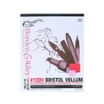 thumbnail image 3 of Borden & Riley #120 Bristol Pad, Plate Finish, 14" x 17", 12 Sheets Per Pad, 3 of 3