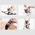 thumbnail image 6 of Walbest Adjustable Pet Puppy Dog Safety Harness with Leash Set Polyester No-Pull Breathable Padded Dog Leash Chest Harness Vest with Comfortable Handle for Small Medium Large Dogs Training Walking, 6 of 7