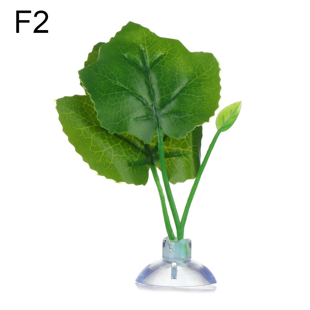 Play Landscaping Resting Oviposition Leaves Fish Tank Simulation Betta
