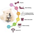 thumbnail image 4 of Dog Toothbrush For Small Medium Dogs, Can Be Filled With Water Summer Cool Down, 4 of 4