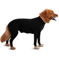 thumbnail image 1 of Mono deportivo para perro: caída del pelo de perro para el hogar, el coche, los viajes, la camisa que calma la ansiedad, la protección contra los rayos UV y las garrapatas, 1 of 5