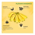 thumbnail image 4 of Penca de plátano dominico por kilo, 4 of 4