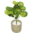 thumbnail image 4 of Bearachild 2 uds hojas de plantas de simulación decoración de plantas verdes de plástico para sala de estar balcón Oficina decoración de flores de Jardín y Patio 7 Köpfe 36 Blätter Bearachild HA005100-01, 4 of 6