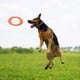 thumbnail image 4 of Juguete para cachorros, entrenamiento canino, lanzamiento, para perros pequeños y medianos, 4 of 6