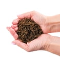 thumbnail image 5 of Premium New Zealand Tree Fern by Gardenera Labs - Orchid and Epiphytal Plants Growing Medium and Reptile Substrate - 2 Quart Bag, 5 of 6