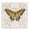 Green Swallowtail Butterfly Pattern, variant on Stupell Industries Transitional Warm Watercolor Butterfly Black Floating Frame Canvas Art, 18 x 18, by Kim Allen