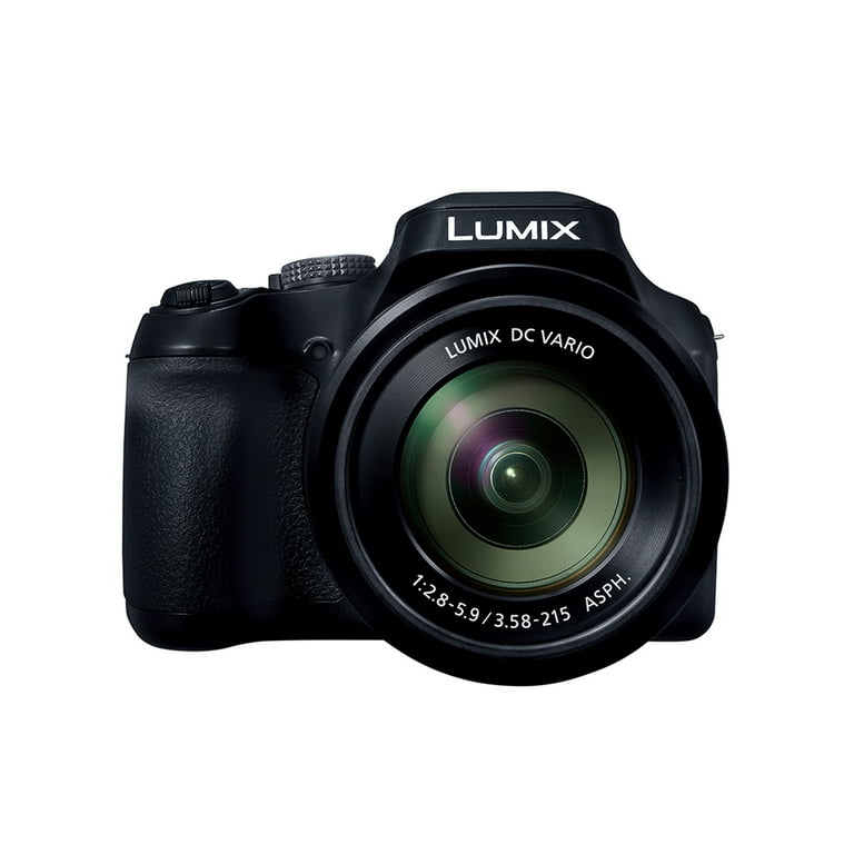 Panasonic LUMIX FZ80D 18.1MP Point & Shoot Digital Camera, Bundle