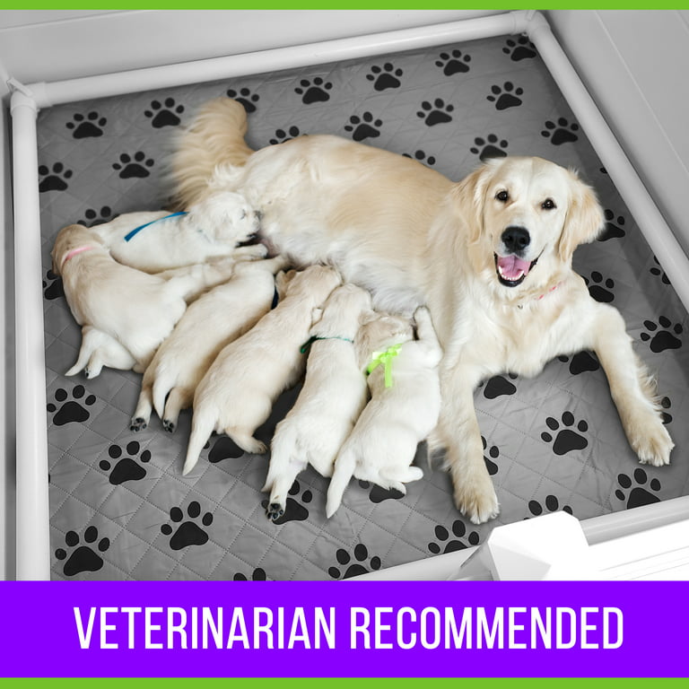 Whelping Box for Puppies - Breeder Essentials