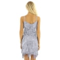 thumbnail image 2 of Alvivi Women's Sparkly Sequins Tassels Fringe Flapper Dress Latin Tango Belly 1920s Dance Costume Silver-gray One_Size, 2 of 7
