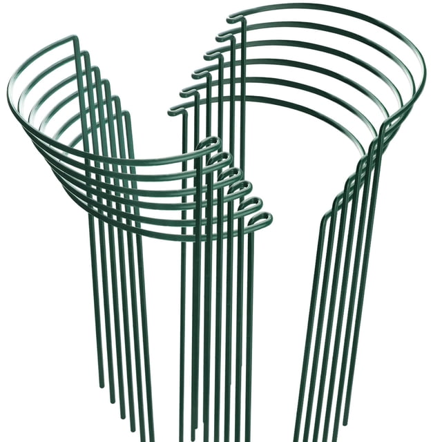 HiGift 12 soportes metálicos para plantas de 25 x 40 cm