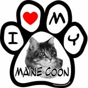 Imagine This I Love My Maine Coon Image Paw Car Magnet, 5-1/2-Inch by 5-1/2-Inch