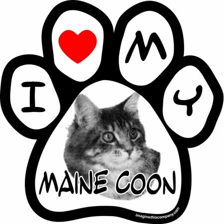 Imagine This I Love My Maine Coon Image Paw Car Magnet, 5-1/2-Inch by 5-1/2-Inch