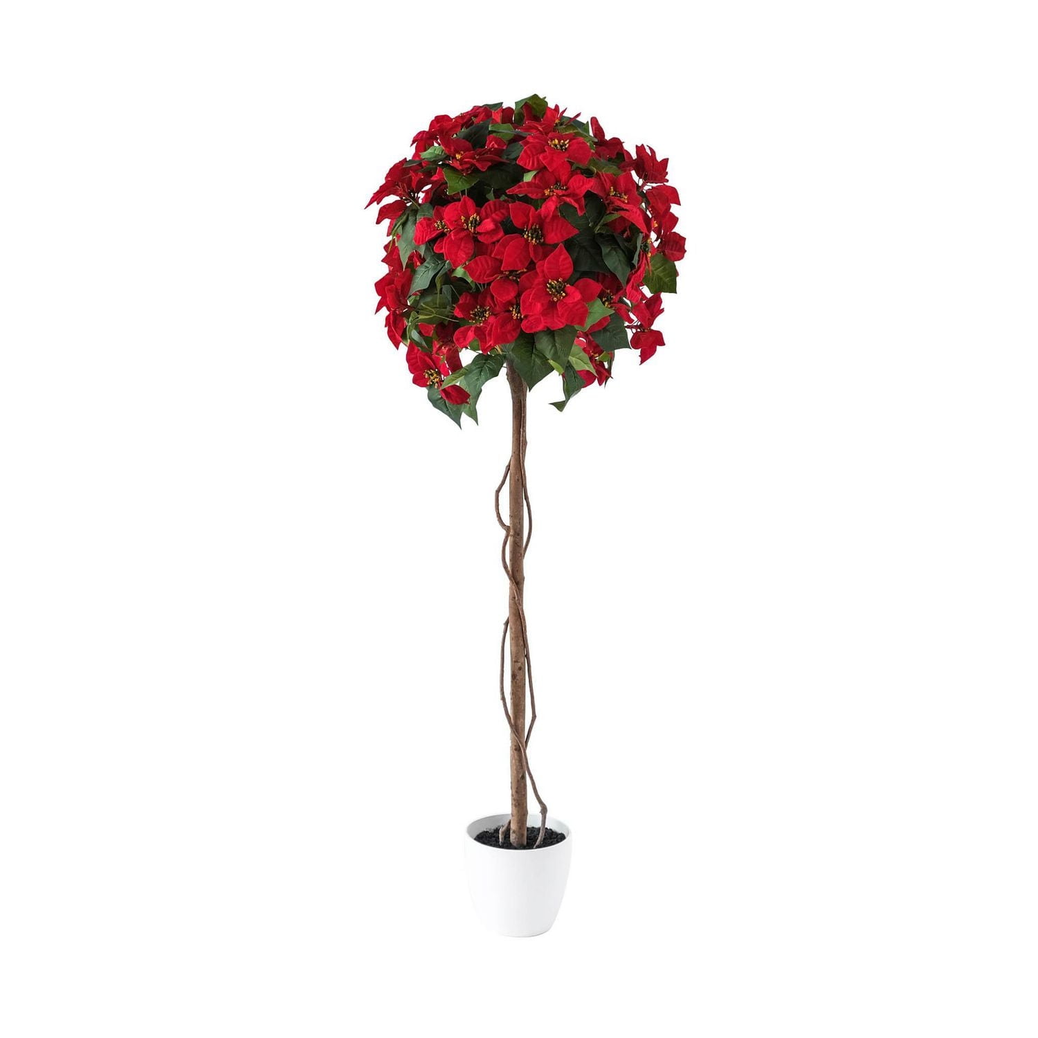 Poinsettia, 59"H